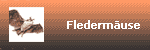 Flederm&auml;use
