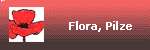 Flora / Pilze