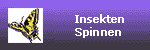 Insekten / Spinnen